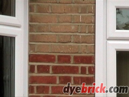 Dyebrick 8